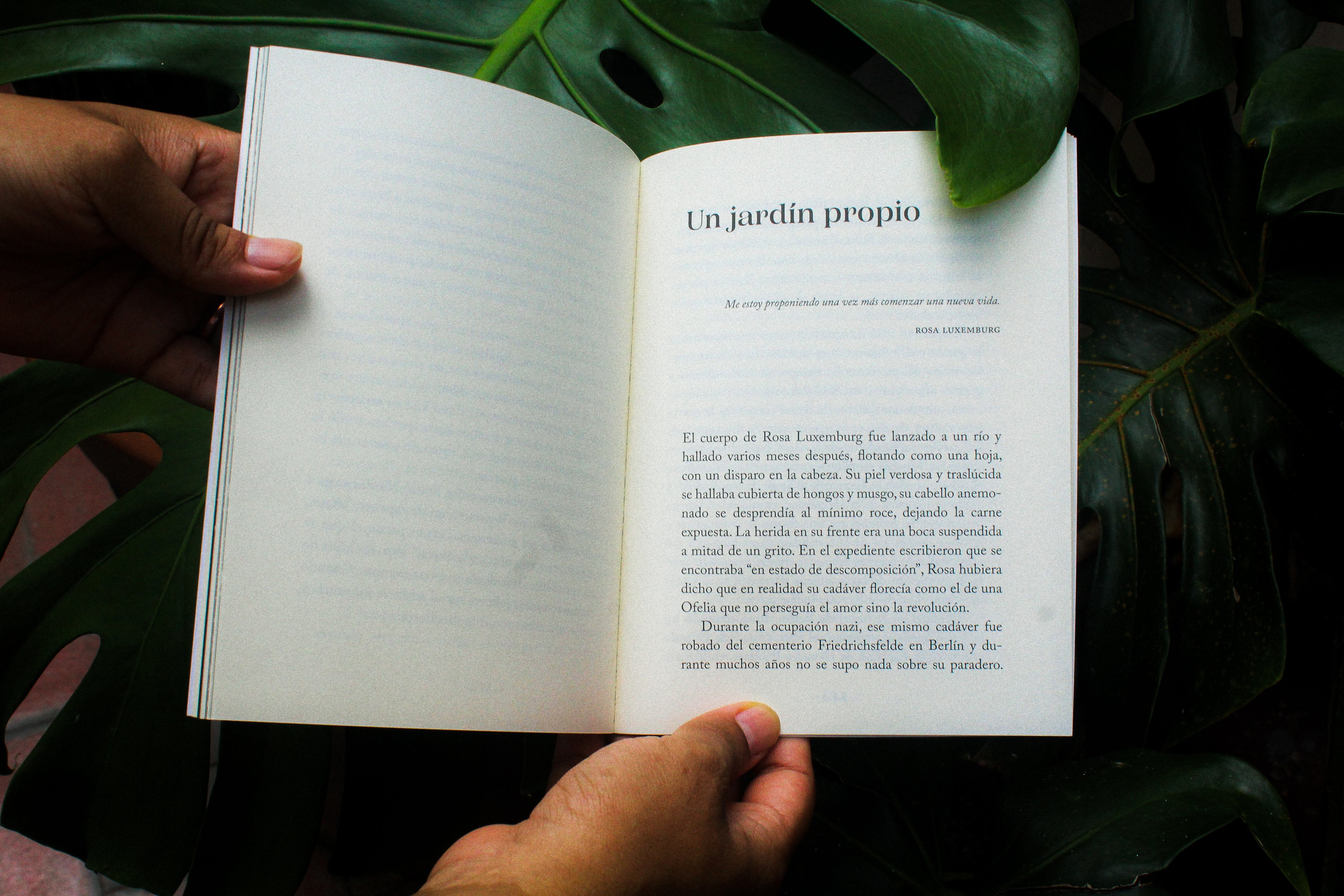 Jardines errantes | Tania Tagle