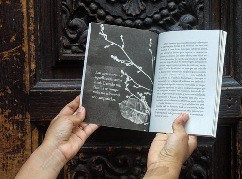 Jardines errantes | Tania Tagle