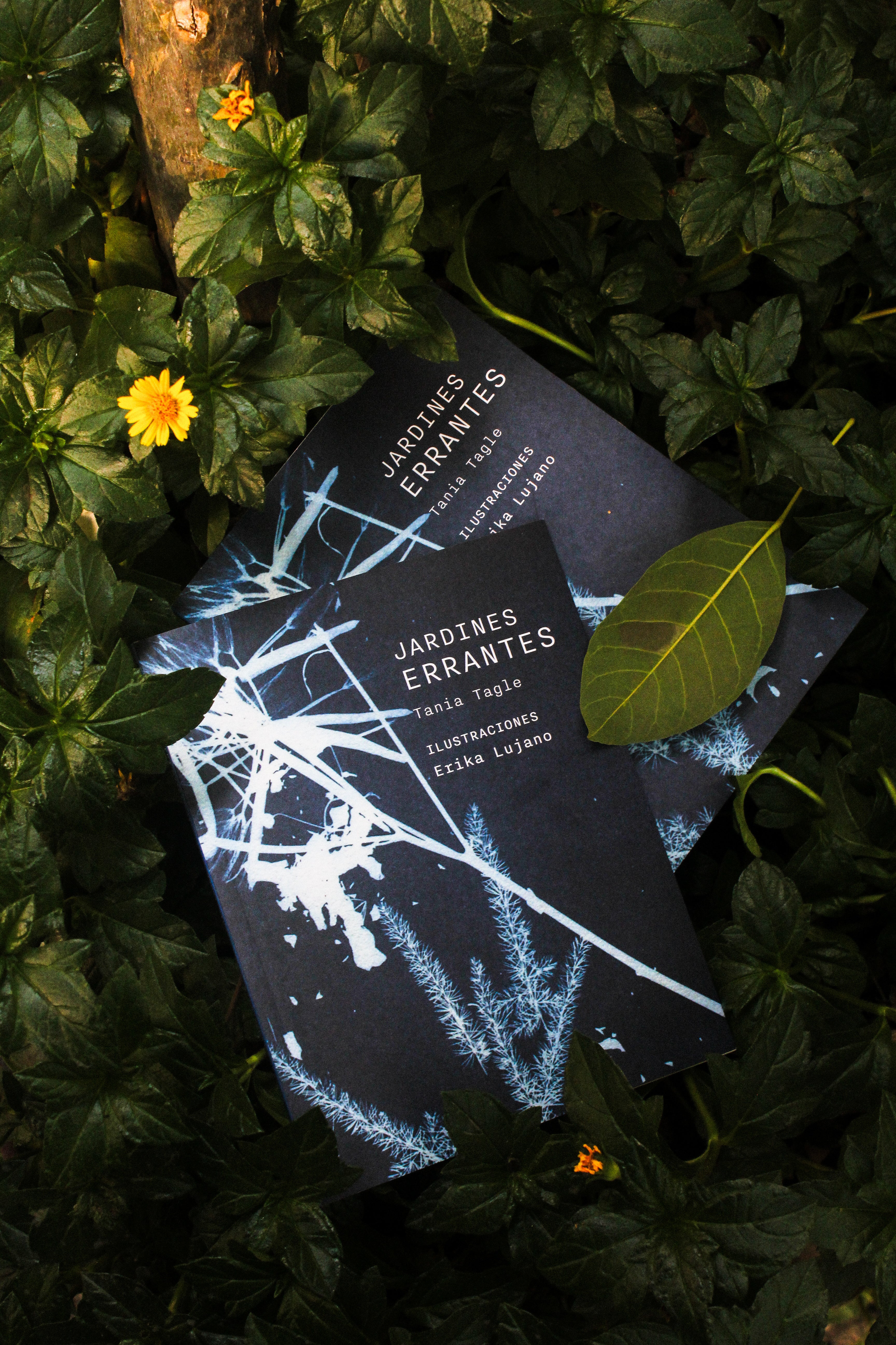 Jardines errantes | Tania Tagle
