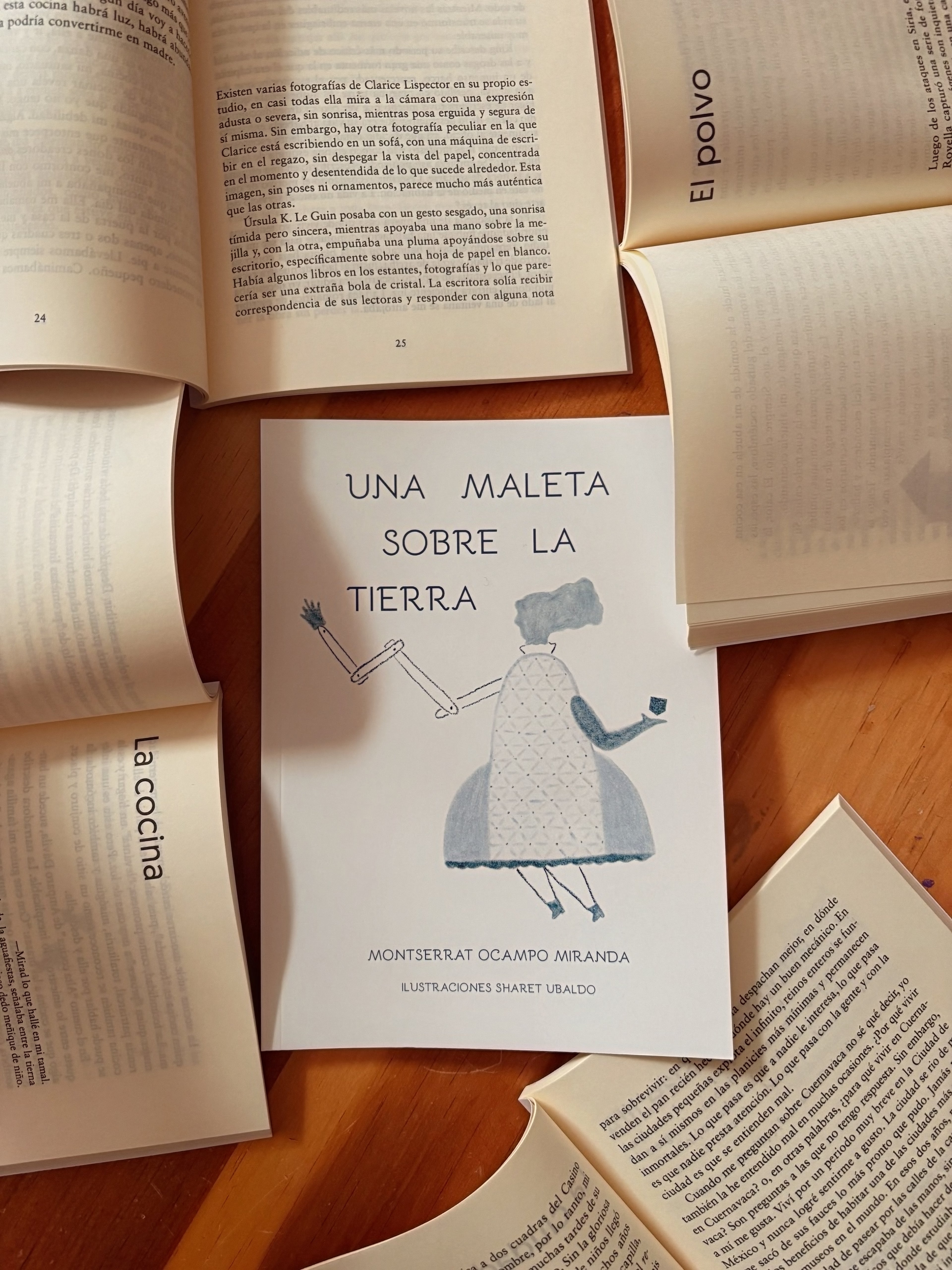 Una maleta sobre la tierra | Montserrat Ocampo Miranda